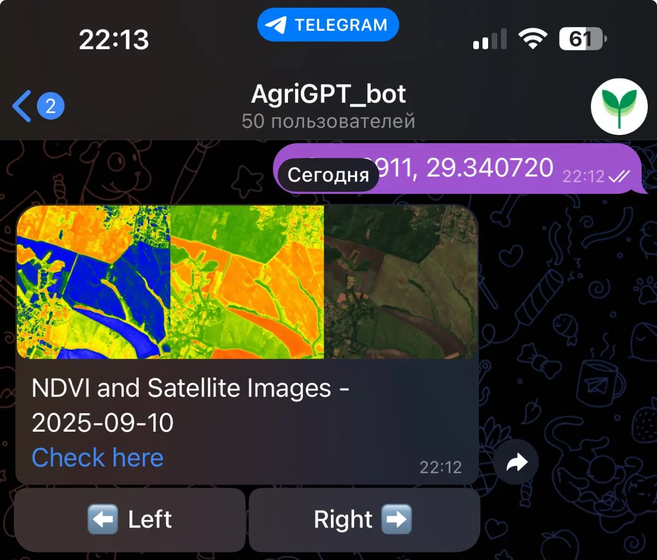 Captura de tela do AgriGPT no Telegram